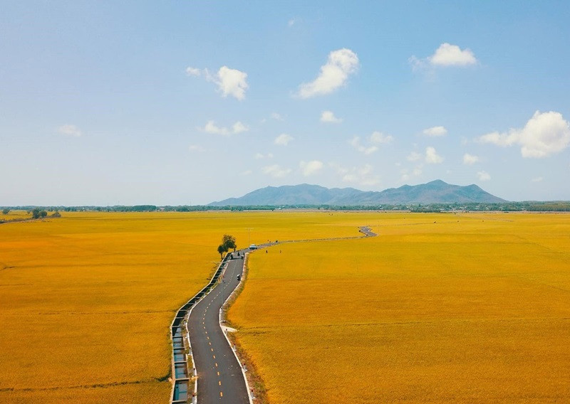 Kiểm Soát Cảm Xúc Tiêu Cực Theo Cách Của Thuý Võ – Bí Quyết Thay Đổi Cuộc Đời!